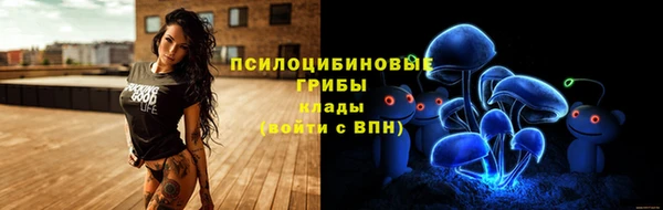 не бодяженный Аркадак