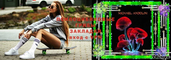 PSILOCYBIN Армянск