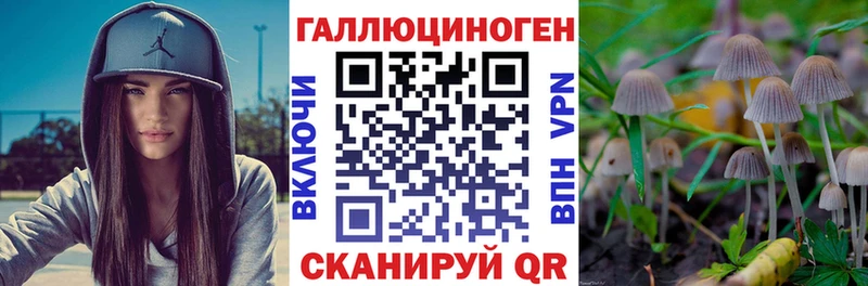 Псилоцибиновые грибы Psilocybe omg ссылки Дыгулыбгей