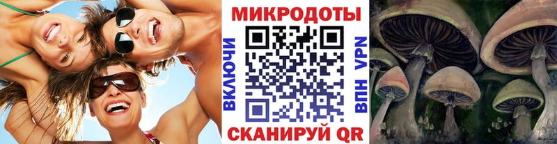 Псилоцибиновые грибы Psilocybe Дыгулыбгей